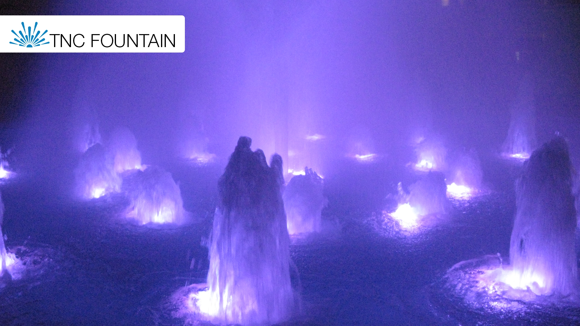 Designing Water Features