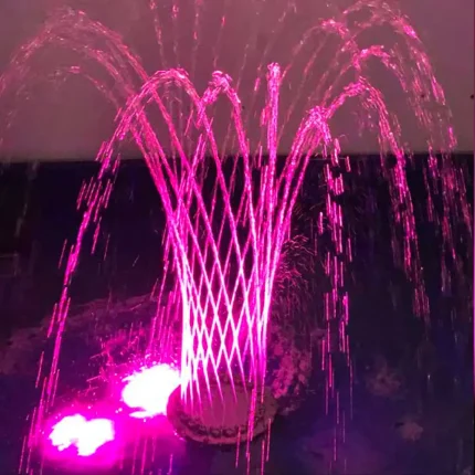 AquaCROWN