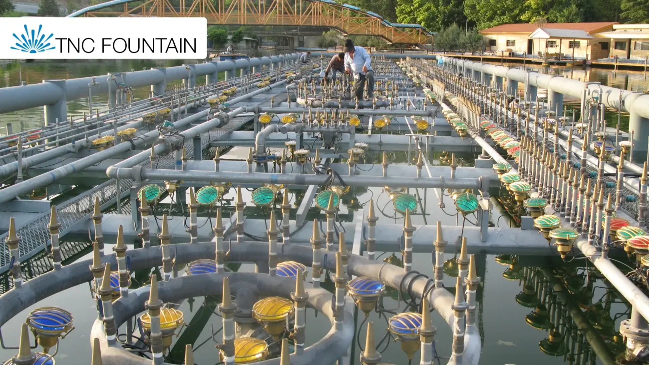 2 Musical Fountain System