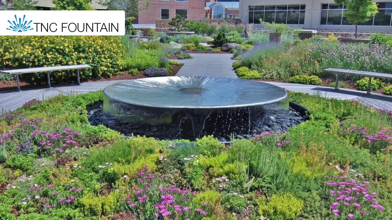 1 Outdoor Dish Water Feature